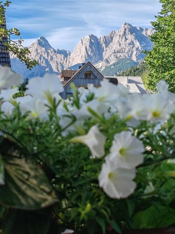 Flowers on the balcony, mountains behind