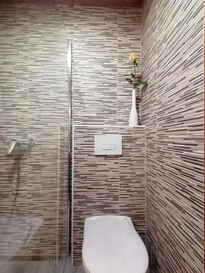 The room’s bathroom with shower