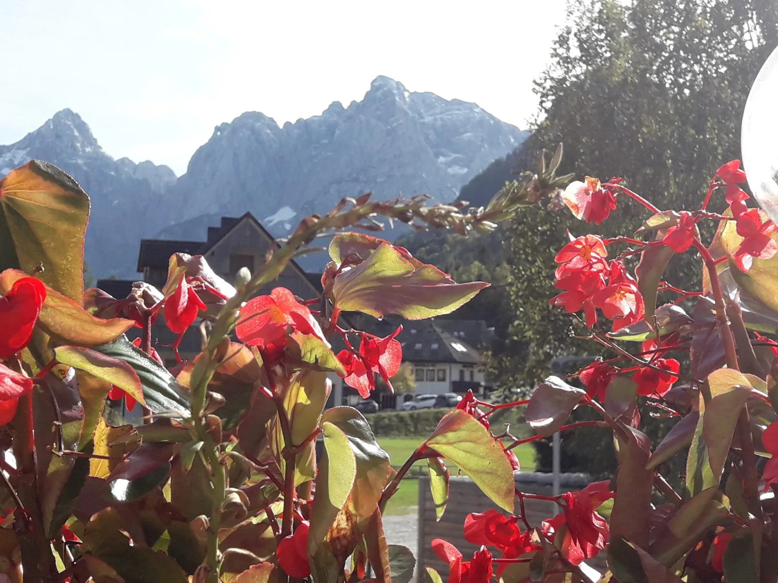 Pogled z balkona na gore čez rdeče cvetje