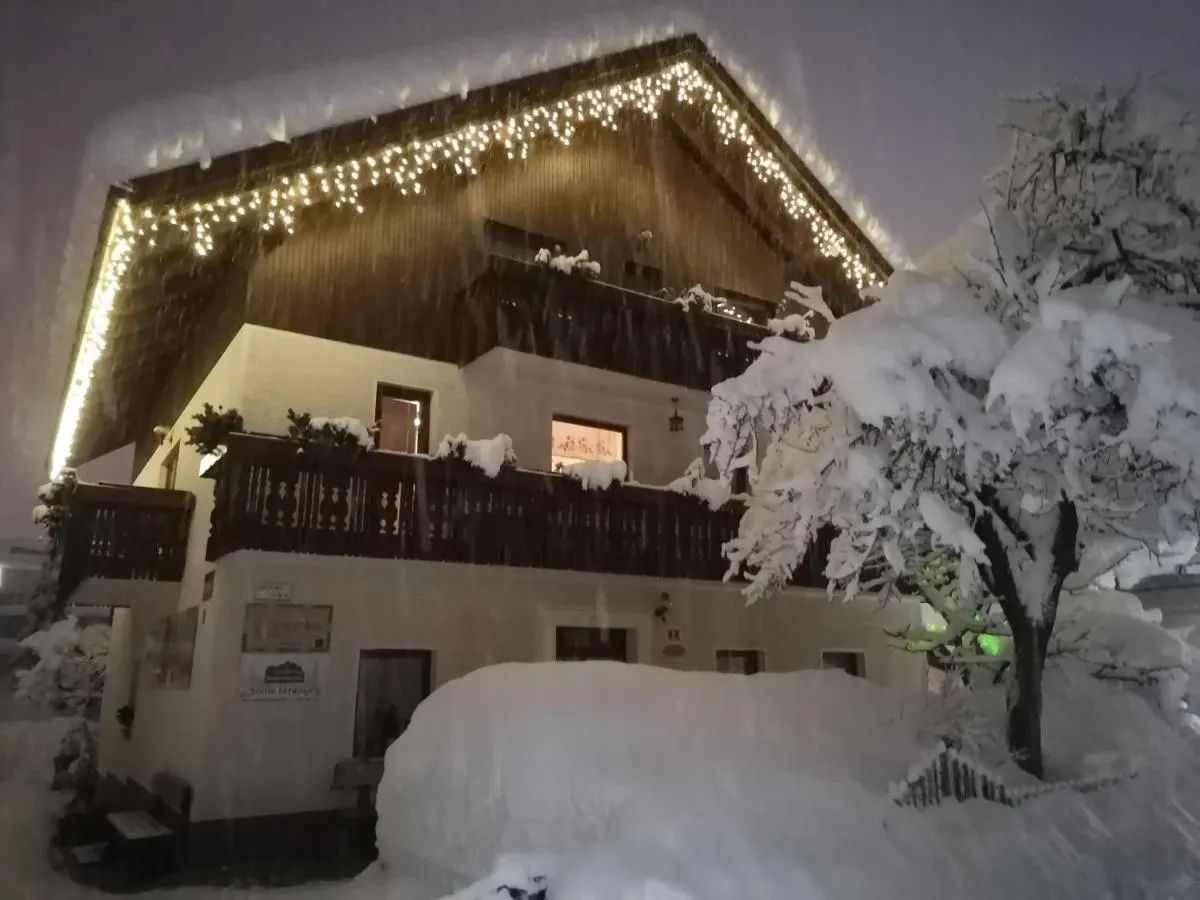 The house on a winter night with fairy lights